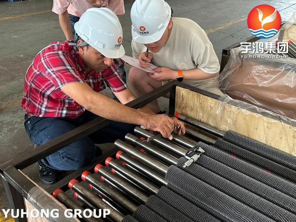 ASTM A213 T22 高周波溶接型 歯列状のフィンチューブ