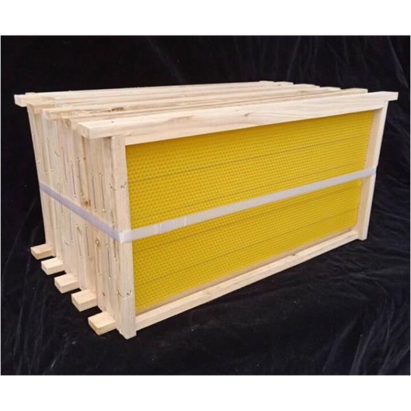 Ранг воск улья учреждения Beeswax обрамляет основание покрывает листы Beeswax гребня пчелы