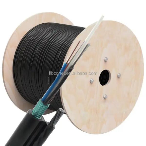 24 Core Waterproof Outdoor Armored Self-Supporting Optical Cable GYTC8S Fiber Optic Cable