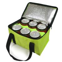 O delicado feito sob encomenda da impressão do OEM isolou um saco mais fresco 21*13*14 Cm com capacidade de 4L 16L 32L