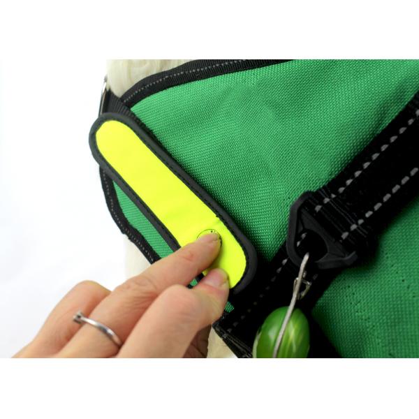 Eco - Friendly Nylon Webbing Glowing Pet Cat Safety LED Light Up Dog Harness Green