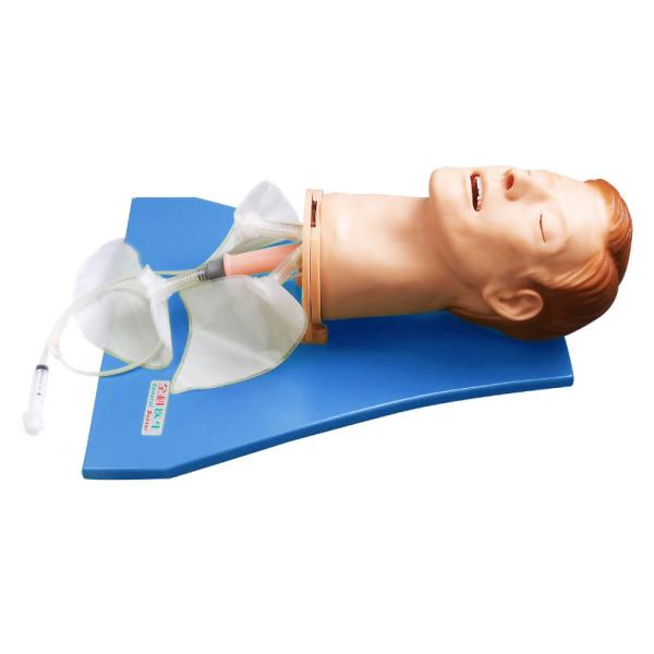 EMS Simulator / Airway training manikins for Observe Lung Respiratory Movement Training