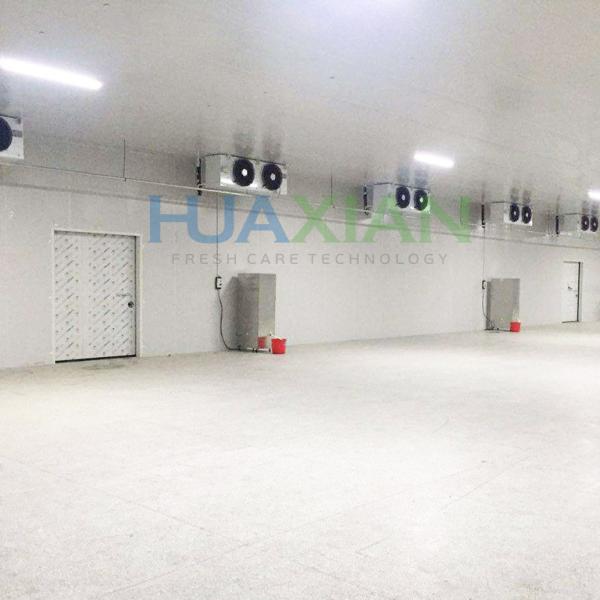 Walk in Freezer Chiller/Cool/Industrial Modular Container/Cold Storage Room Warehouse for Fresh Vegetab