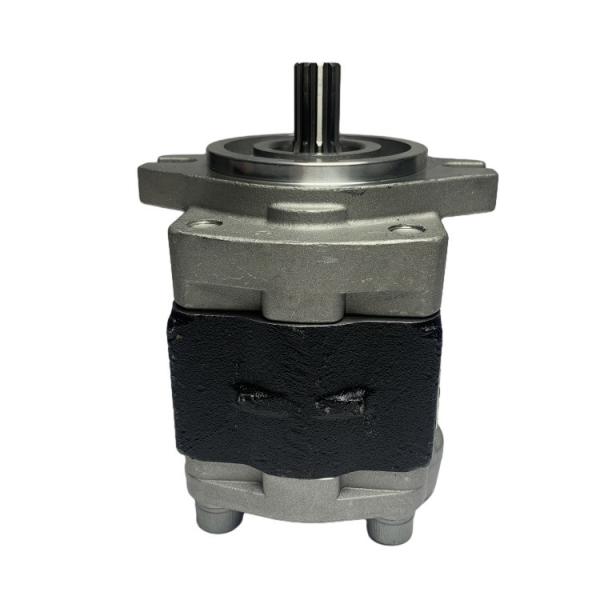 Energy Mining H25S7-10011 Hydraulic Pump 10 Spline with Long Working Life and Steel Material for CPC(D)20-35 Forklifts