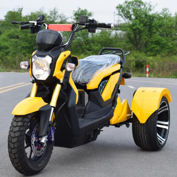 All Tube Type Controller Double Seat Adult Electric Tricycle for Elder/Three Fat Wheel Electric Bicycle