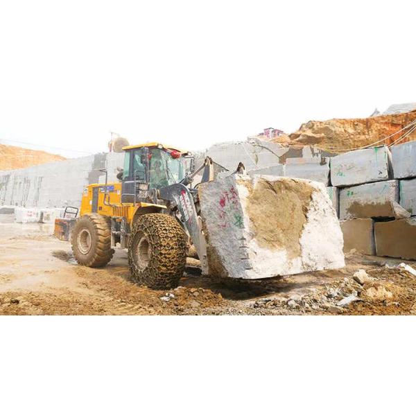 LW600KN-T25 XCMG 25-тонная тракторная вилочная машина