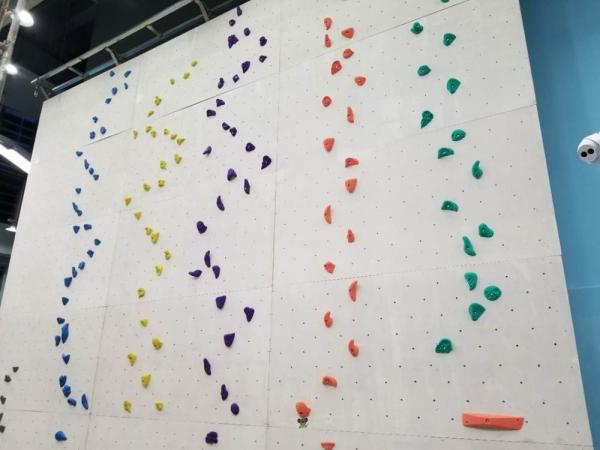 5 乗客 ゲッコ・キング IFSC 承認 Mサイズ 異なる色のロッククライミングホルダー