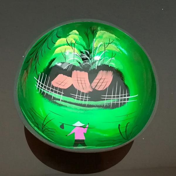 OEM/ODM Acceptable Natural Coconut Shell Bowl Design Ornament Lacquered Coconut Bowls from Regional Feature