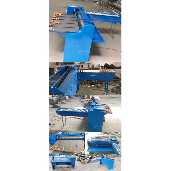 High Capacity Egg Sorting Grading Machine for Food Industry Equipment 5400 eggs/h