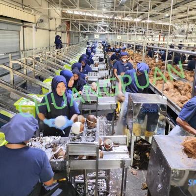 0.5-25T/H Coconut Processing Machine Coconut Milk Processing Machine