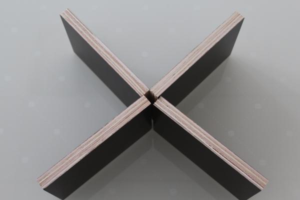 Double Sided Prefinished Plywood Panels / Eco Friendly Film Faced Birch Plywood Sheets
