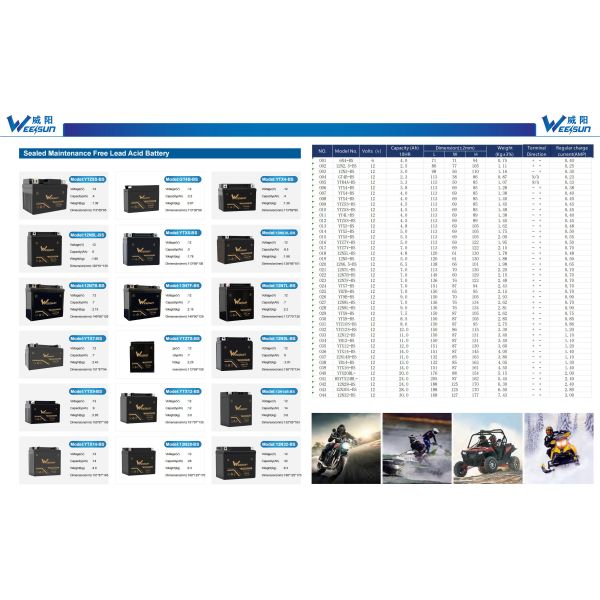 12n20a-bs Motorcycle Agm Battery Ytx20a Starter Battery Yts20 Bs