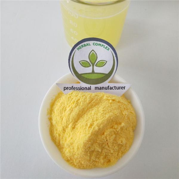 lemon juice powder  buy organic powdered lime best  health benefits supplement bulk 