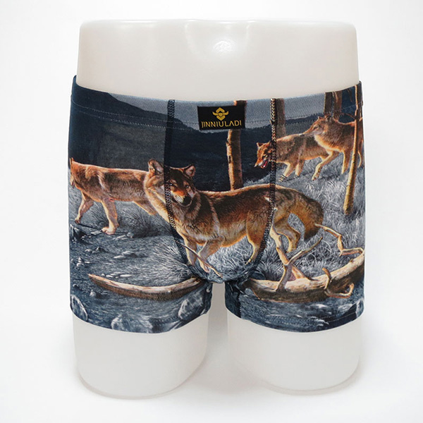Men's Underwear Boxers Shorts Fashion Soft Boxers unique large Mens Underwear Boxer Shorts