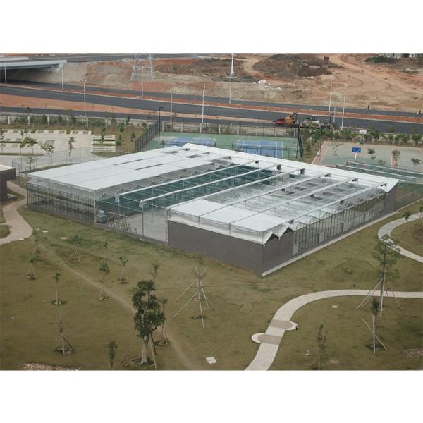 Galvanized Steel Pipe Multi Span Greenhouse Vegetable Greenhouse Kits For Winter Cover