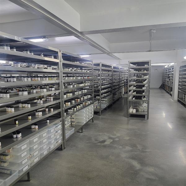 Light Yellow Skin Care Fragrances High Purity Peach Fragrance Essential Oil