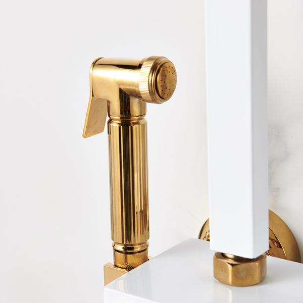 Набор Faucets Bathroom ливня изделий холодных осадок горячей воды санитарный