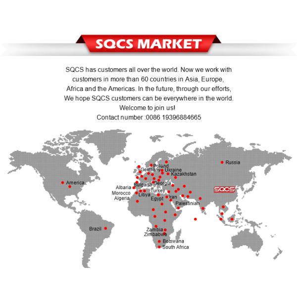 SQCS Заднего заднего фонаря для Tesla Model 3 1077398 107739800F 1077398-00-F Гарантия