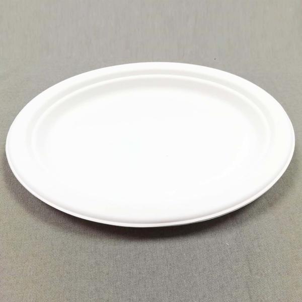 10/12 Inch biodegradable sugarcane Oval Plate-Wholesale Water-proof bagasse plate-Natural friendly pulp tableware
