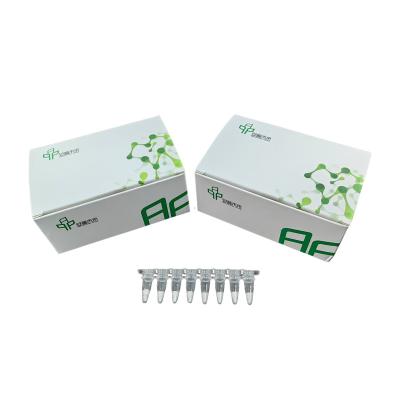 5-20 minutos Kit de PCR isotérmico de alta sensibilidade NFO Tempo de reação curto