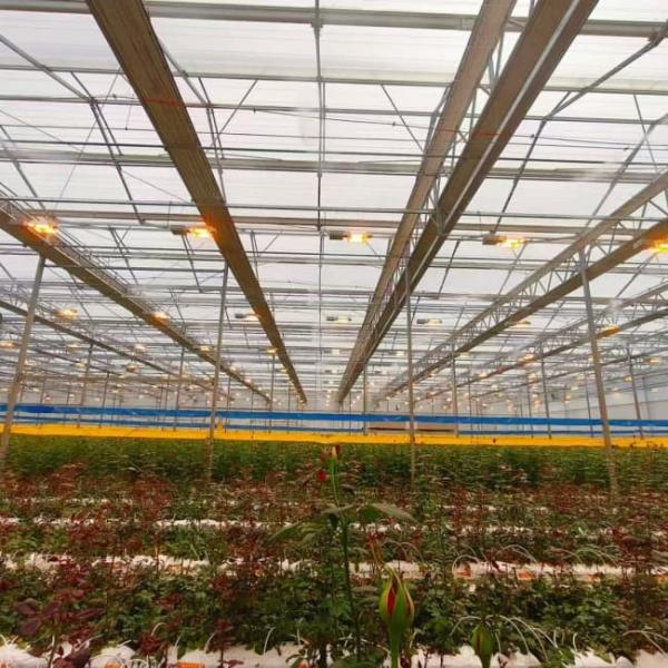 Sainpoly Agriculture greenhouse frame Venlo type Polycarbonate Glass greenhouse for seeds vegetables hybrid tomato