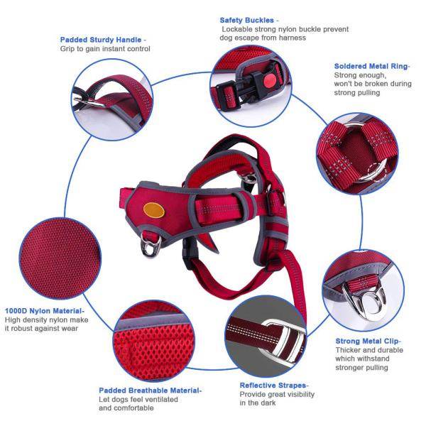Choke Free Dog Halter Harness Leash Set 5 Ft Double Handle Shock Absorbing Bungee