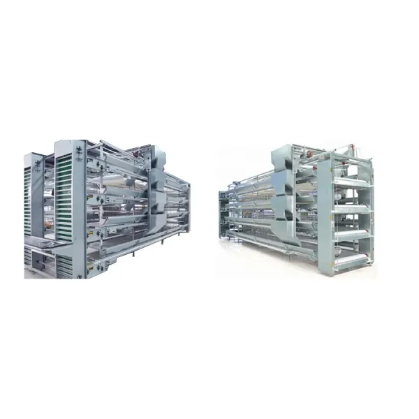 Automatic H Type Battery Layer Chicken Cage System with Fully Automatic Operation, Hot-Dip Galvanized Steel, and H-Type Layered Design for Poultry Farming
