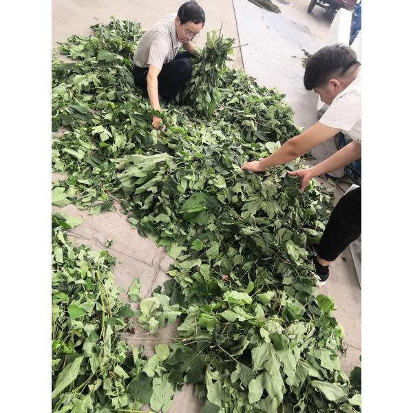 1.45*0.87*2.2m 15kw 0.3T/H Tree Branch Shredder