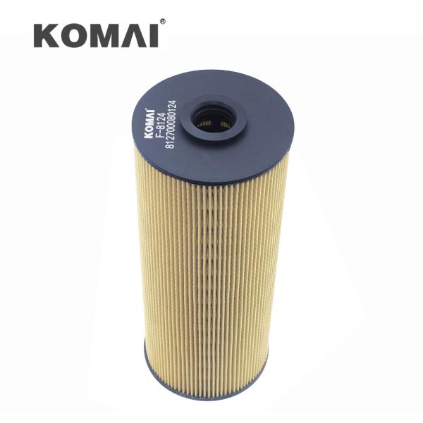 Diesel Fuel Filter 812700080124 160604020053a for WEICHAI WP17.700E501