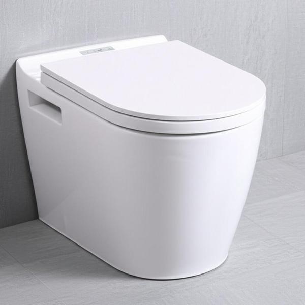 WC intelligent automatique en forme de cuvette ronde, WC intelligent avec bidet, appareils sanitaires électriques pour salle de bain, montage au sol, télécommande incluse