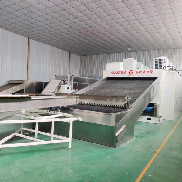 High Efficiency Chili Continuous Belt Dryer Large Scale Production