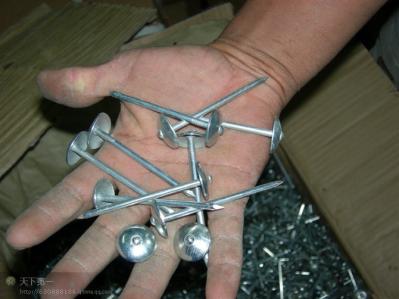 Roofing nails