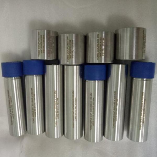 SS A312 TP317 Female Thread Stainless Steel Nipple