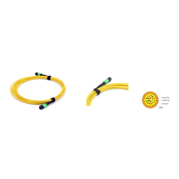 24 fibras MPO hembra a MPO hembra monomodo 3,0 mm LSZH MPO Patch Cord Custom Meters