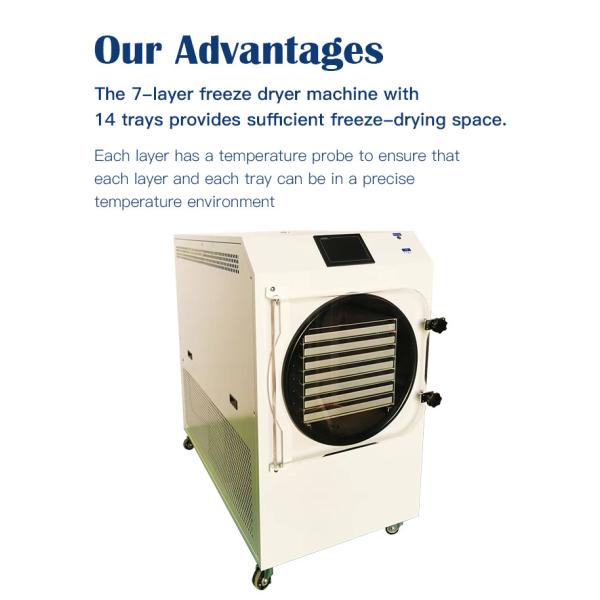 Commercial 50kg Vacuum Freeze Dryer Machine Food Lyophilizer Freeze Dryer Vacuum Dryer Machine