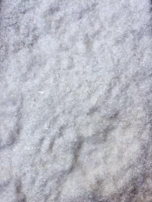 Alkali Resistant High Silica Chopped Strand Glass Fiber For FRP Reinforcement