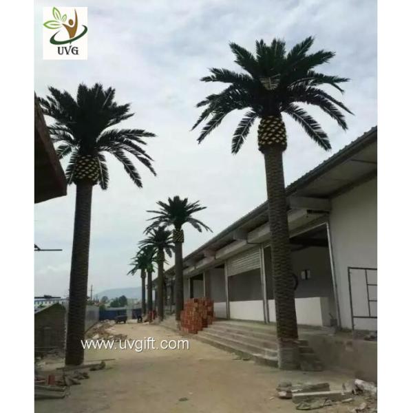 UVG large glassfiber artificial palm tree outdoor with green silk leaves for water world decoration PTR060