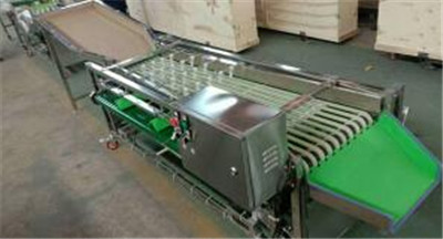 cherry washing drying grading machine, cherry sorting machine, cherry grader sorter