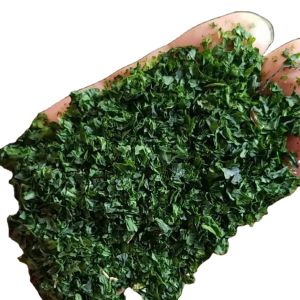 Wholesale Seaweed Ulva Flakes Dried AOSA Aonori