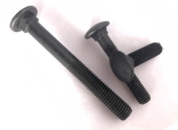 ISO9001 Certified Stainless Steel Carriage Bolt DIN603 for Steel Industry