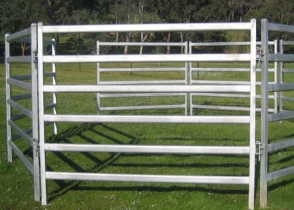 1.8m Height Cattle Farm Panels , Animal Metal Horse Fence Panels Flexible