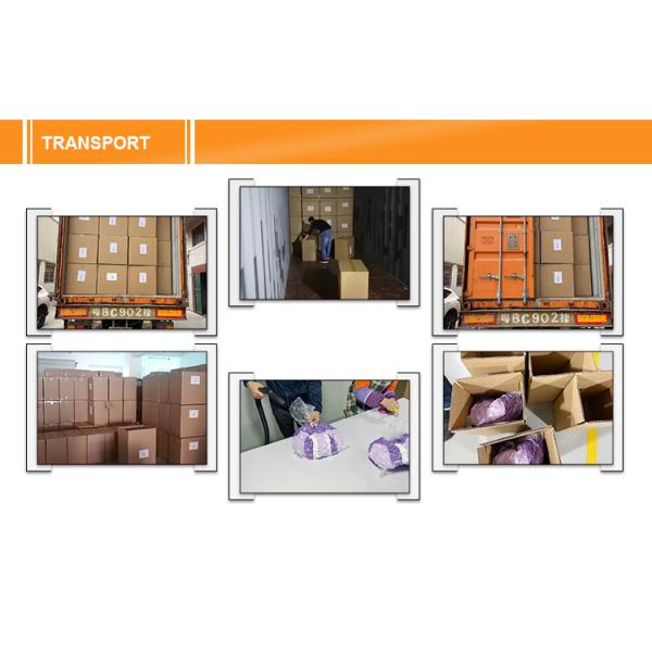 Детей рюкзака короткой ткани плюша продукция ODM рюкзака животных
