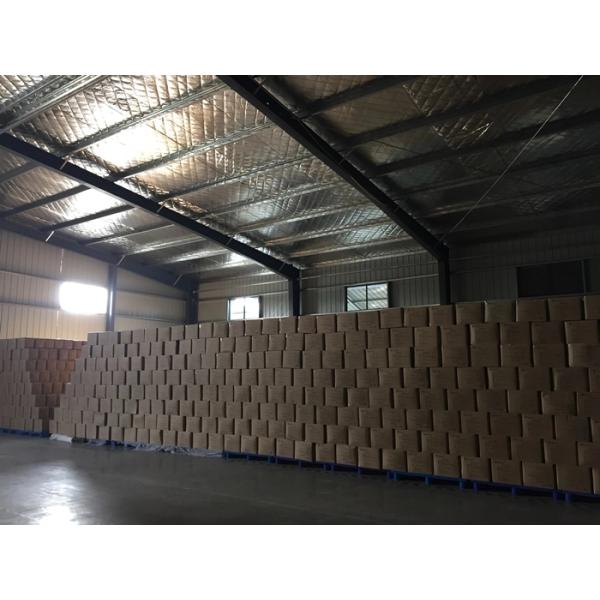 Antibacterial Disposable Plastic Gowns , Disposable Patient Gowns Professional