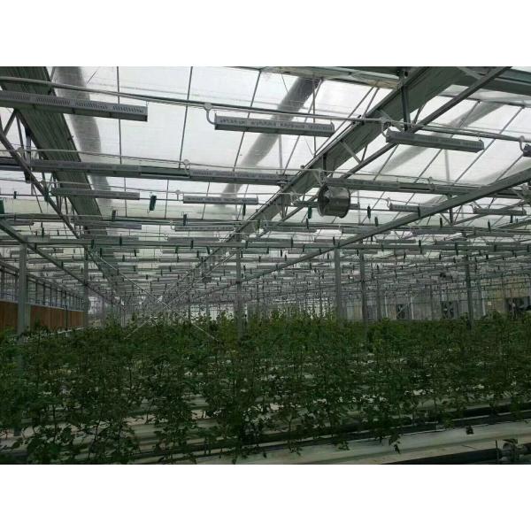 Industrial Warehouse LED Linear High Bay Lights Meanwell Driver 5 Years Warranty