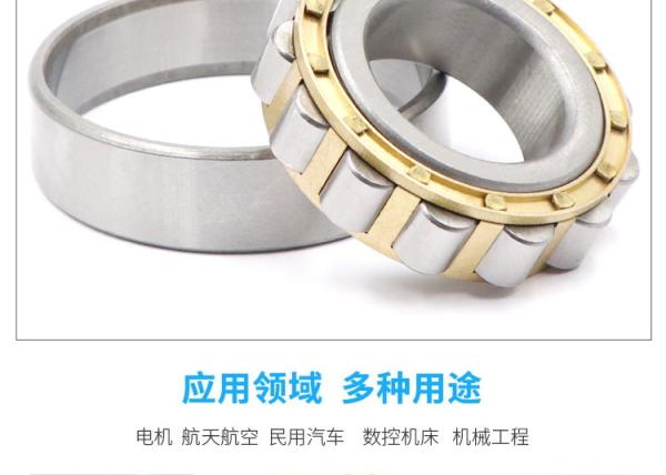 FAG Bearing Steel U20.223 NJP2216EM1C3 Cylindrical Roller Bearing Needle Roller Bearings