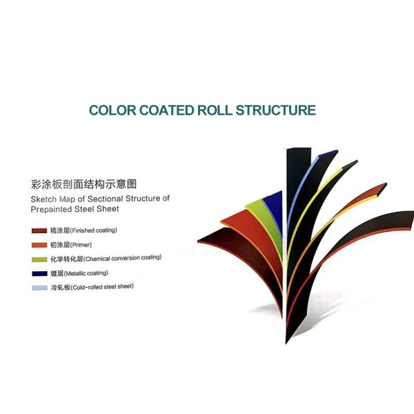Packages seaworthy package for PPGI Steel Coil Color Coated coils Prepainted Galvanized