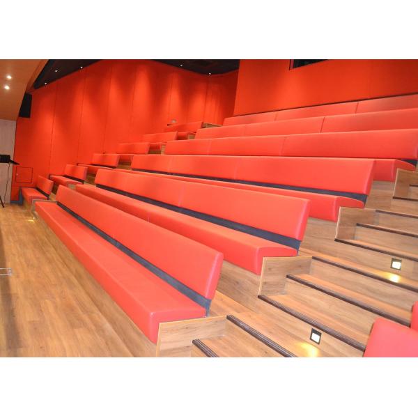 Пратикалли обило Ретрактабле театр усаживая опционный Бакрест с сильным Ундерстр