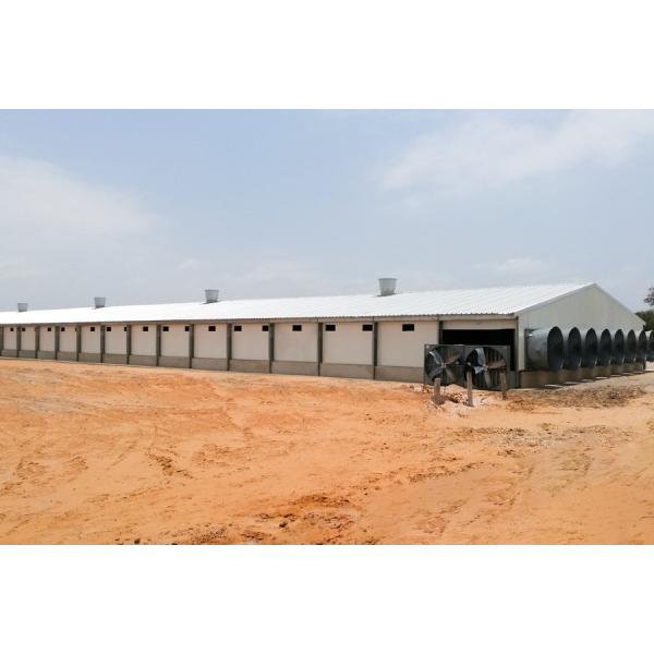Steel Structure Chicken House Broiler House Farm Shed Poultry Building with Welding