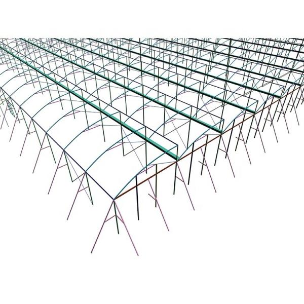 Customizable Plastic Tunnel Greenhouse Saw Tooth Roof Vent Multi Span For Agriculture