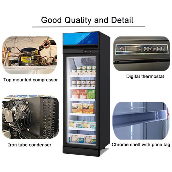 Commercial Beverage Refrigerator Single Door 450L Vertical Display Fridge Chiller